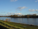 Les bords de Loire