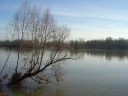 Les bords de Loire